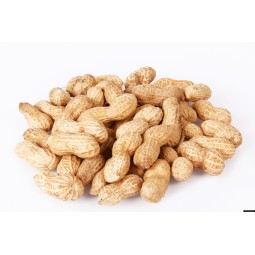 The Pet Cabin Monkey Nuts...