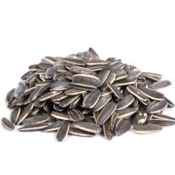 The Pet Cabin Striped...