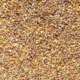 The Pet Cabin Chicken Corn...