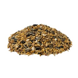 The Pet Cabin Cockatiel...