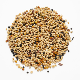 The Pet Cabin Foreign Finch...