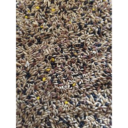 The Pet Cabin Special...