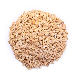 The Pet Cabin Groats Small Bag