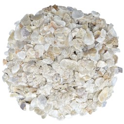 The Pet Cabin Coarse Oyster...