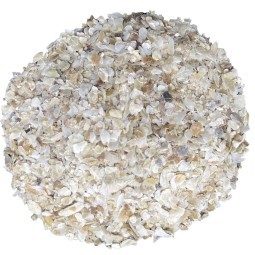 The pet Cabin Oyster Shell...