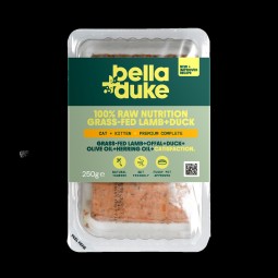 Bella & Duke Kitten/Cat...