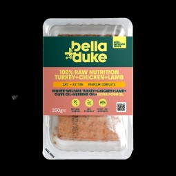 Bella & Duke Kitten/Cat...