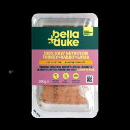 Bella & Duke Kitten/Cat...