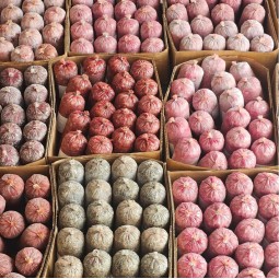 Dibo Chubb Lamb 454g