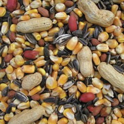 The Pet Cabin Squirrel Mix...