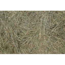 The Pet Cabin Large Hay Pre...